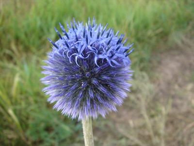 DSC00021.JPG
