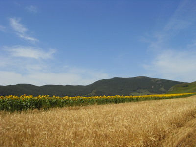 SDC10188.JPG