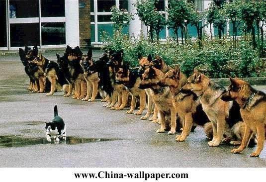 图片14.jpg