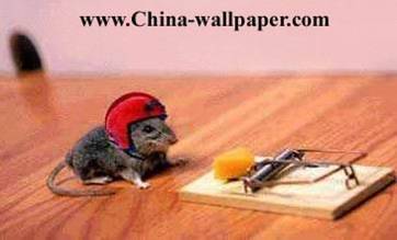 图片17.jpg