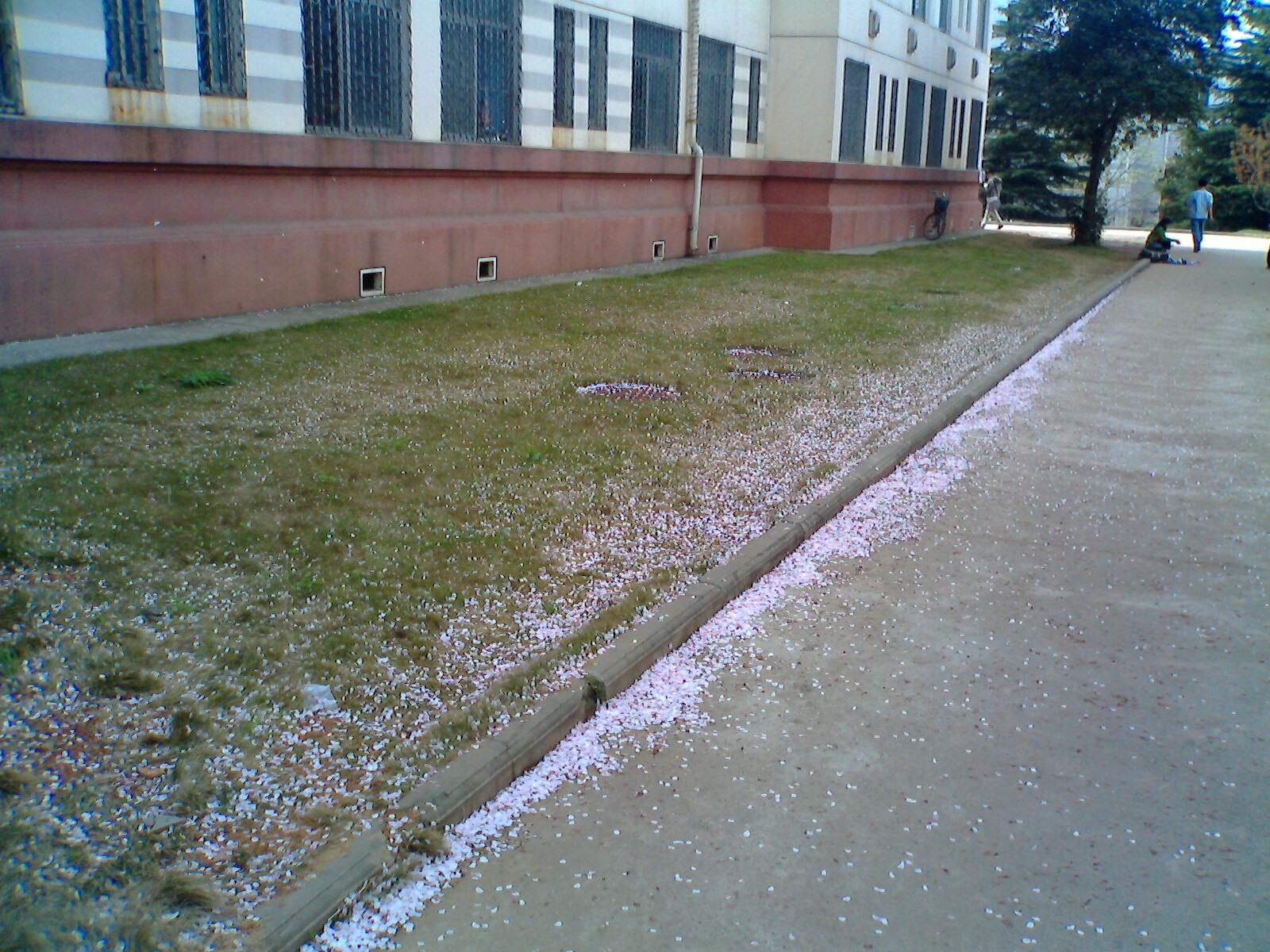 IMG0068A.jpg