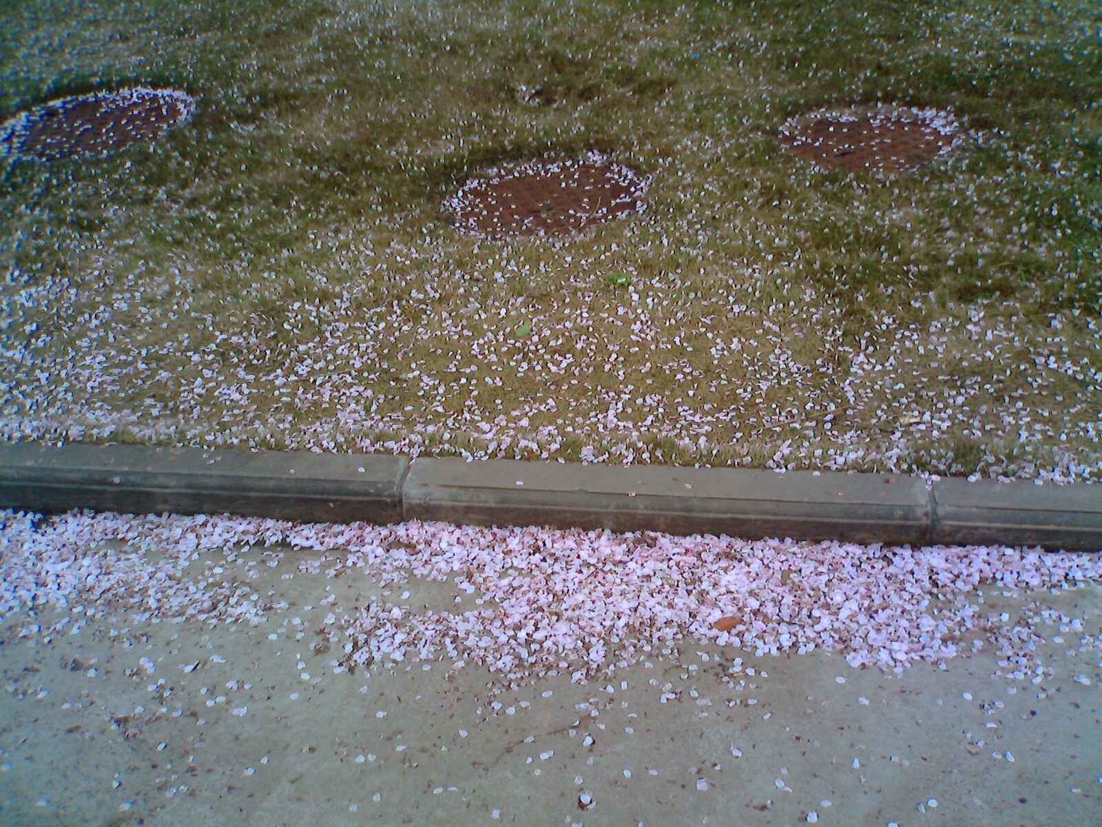 IMG0070A.jpg
