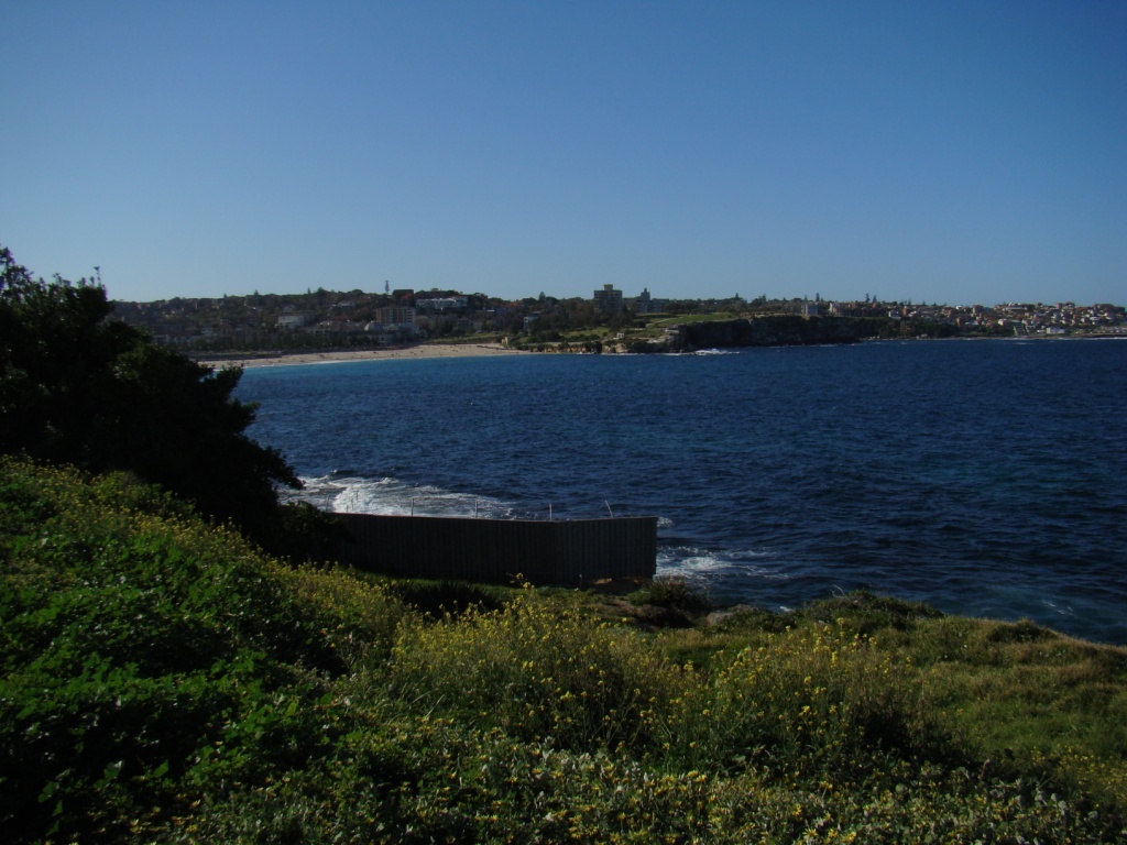 DSC00173.JPG