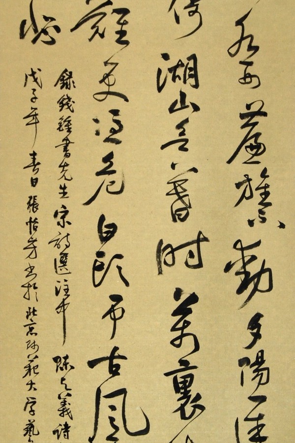 large_6596g67.jpg