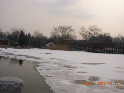 雪中游大观园 - 白茶 - 殊途同归