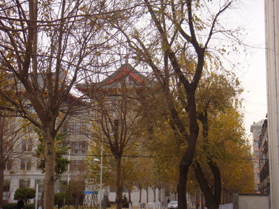 DSC01098.JPG