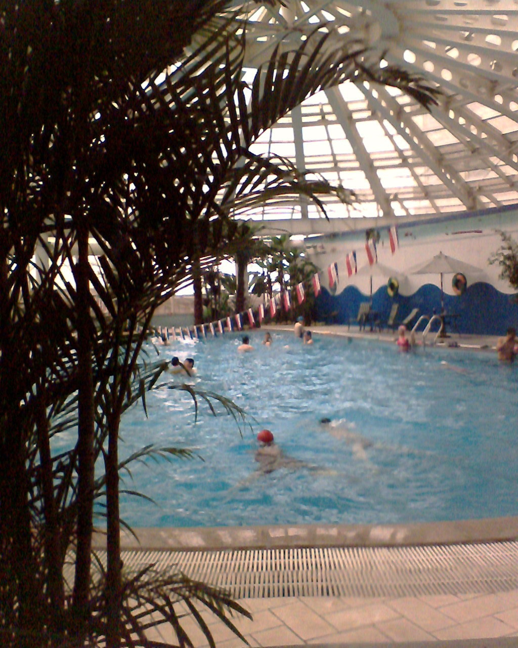 泳池1 .jpg