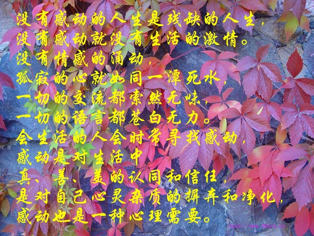 感动.jpg