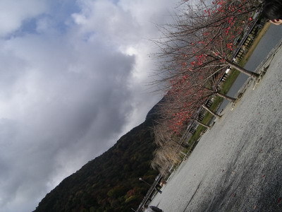 03.jpg
