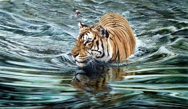riverside-ambush-tiger-alan-hunt-wildlife-paintings