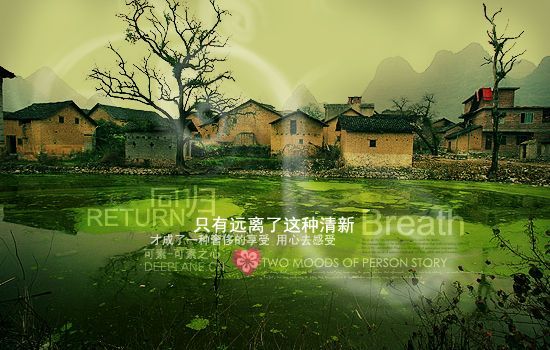 9396d8ef9100a933acafd52f.jpg