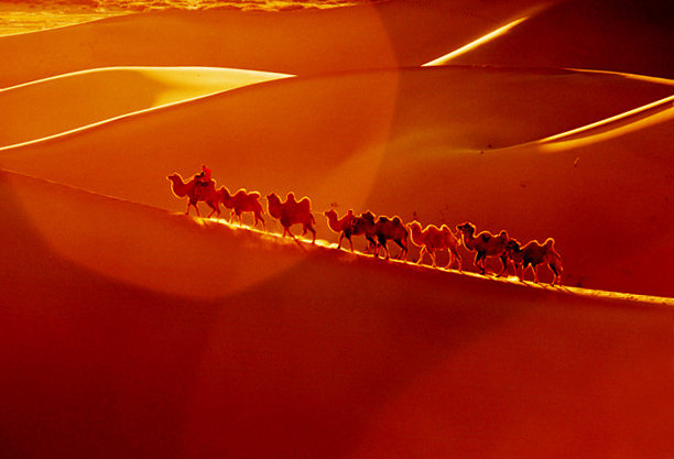 一望无际的大漠上，一支驼队行走在夕阳的余辉下,形成了光与影的完美画面。.jpg
