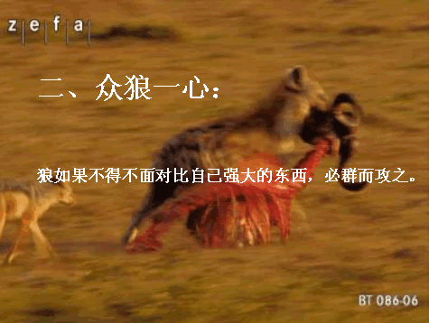2.gif