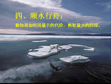 4.gif