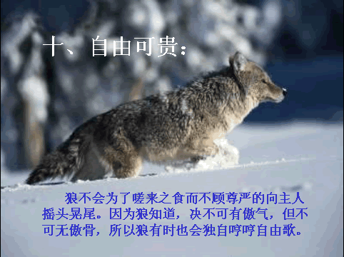 10.gif