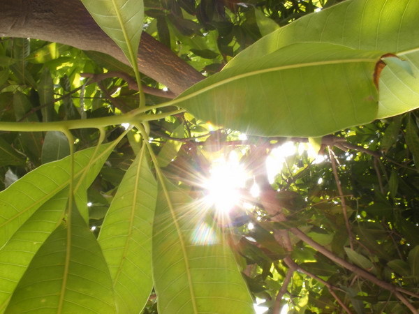 DSCF5923.jpg