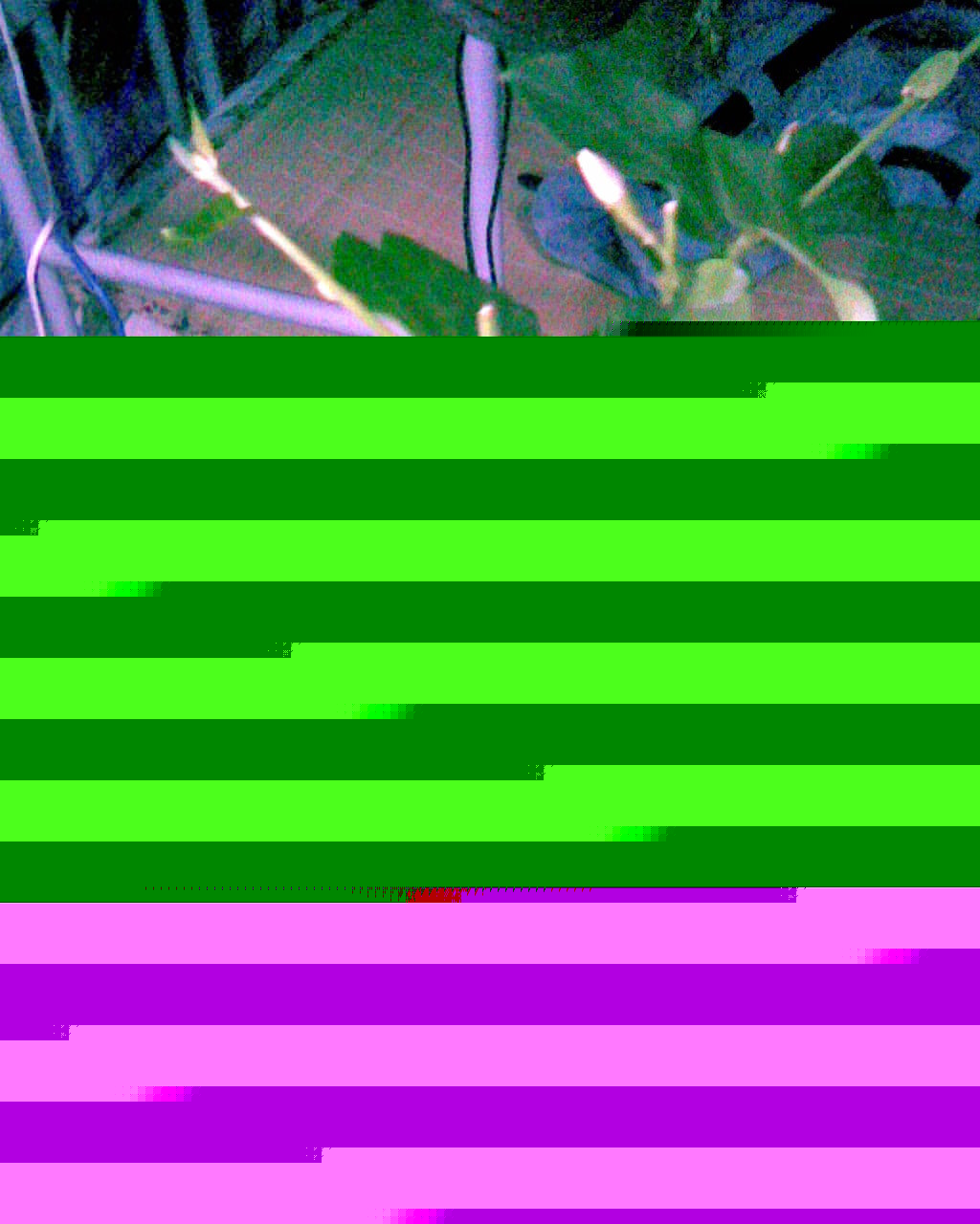 aImage006.jpg