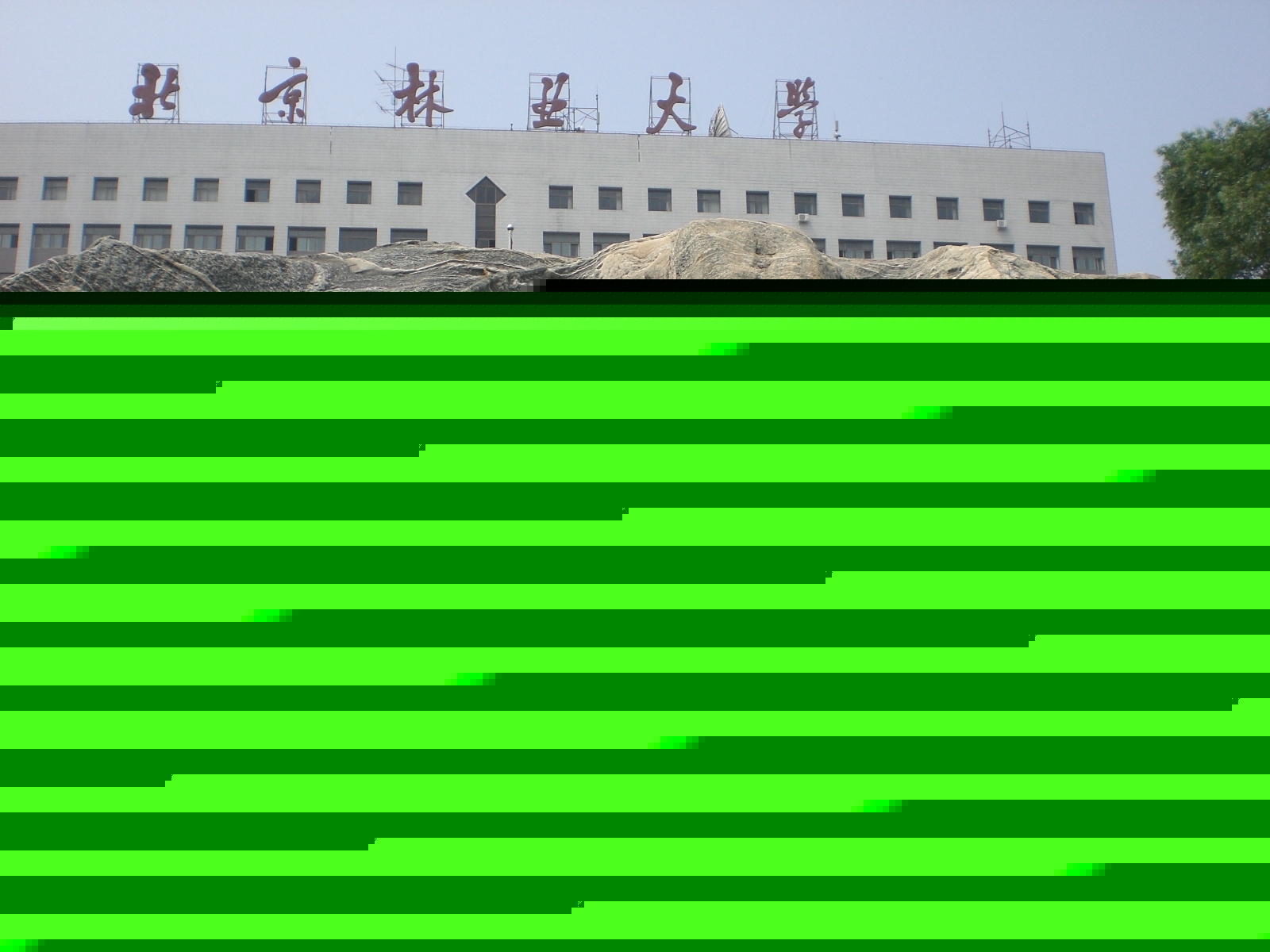 CIMG2070.JPG
