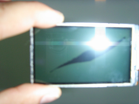 S73F1644.JPG